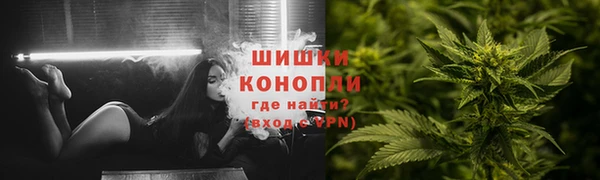 мяу мяу мука Белокуриха