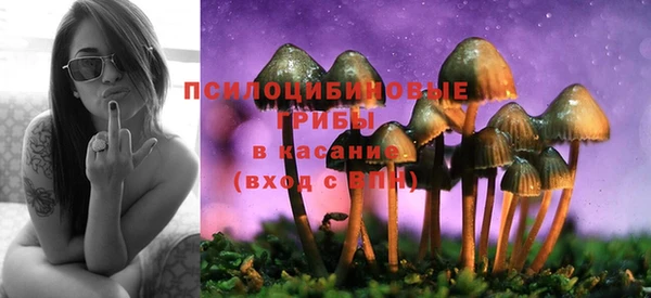 мяу мяу мука Белокуриха